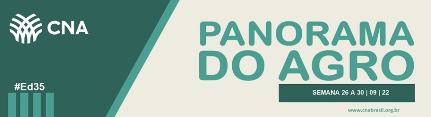 Banner Santa Cruz Soja