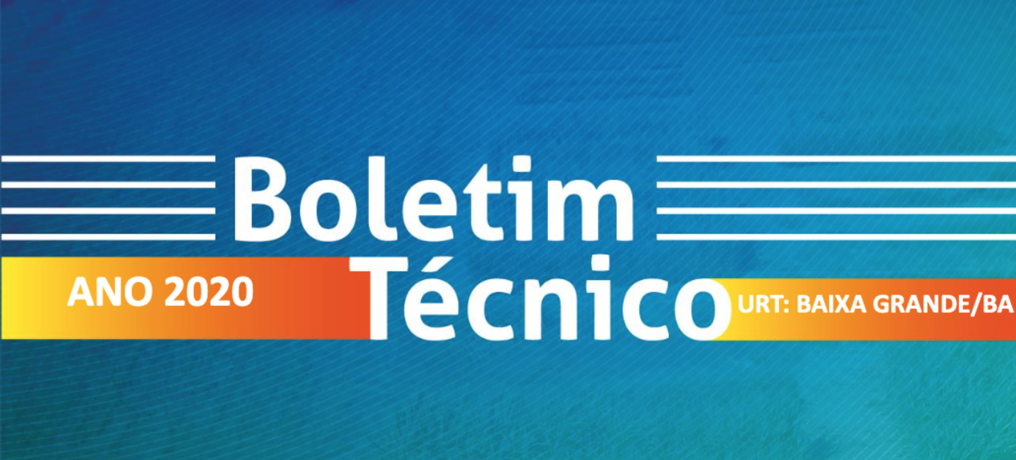 Boletim Técnico 2020 - URT Baixa Grande/BA