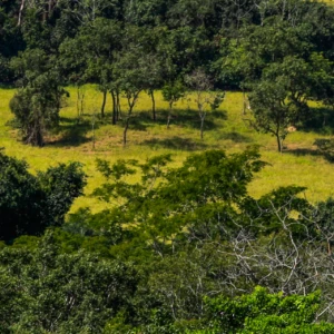 Para a CNA, novo marco do seguro rural garante previsibilidade e segurança para os produtores