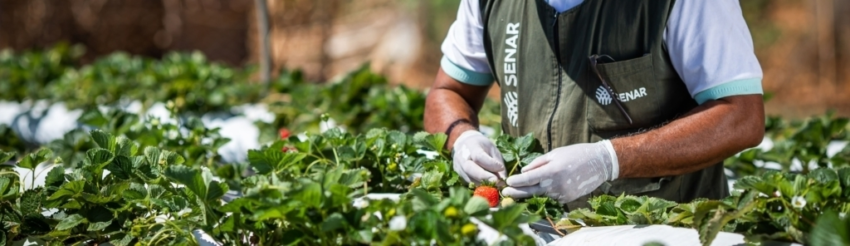 Conheca o senar institucional senar 1