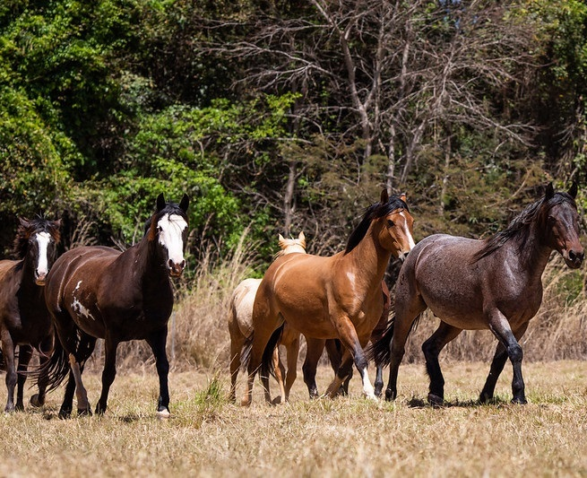 50356960917 73cde99df6 c