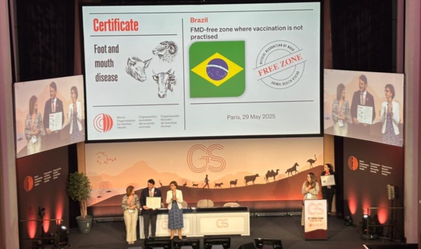 Campo Futuro realiza painéis de custos de produção de pecuária de leite e de corte