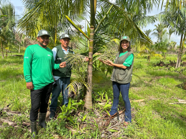 Panorama do Agro Ed 34