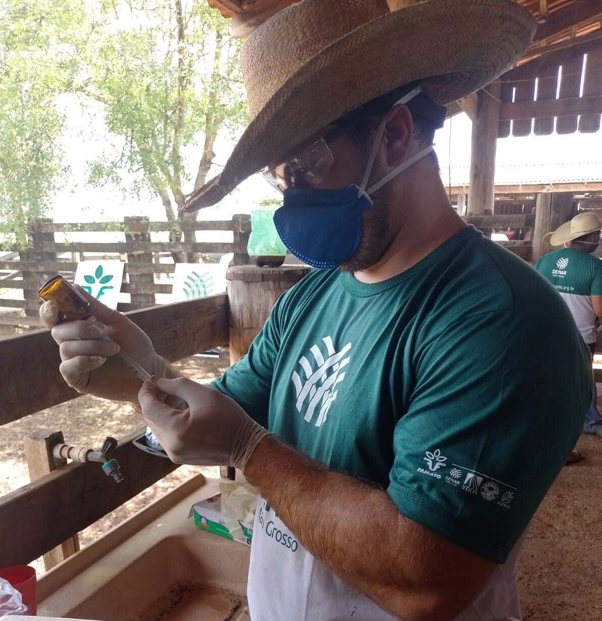 Vacinadores se capacitam para proteger rebanho contra a brucelose