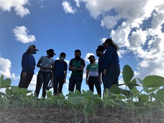 Aprendizagem rural abre oportunidades de trabalho para jovens do interior de MT