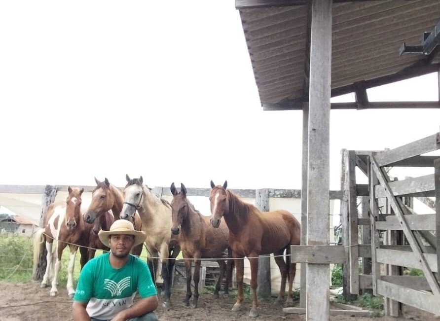 Trabalhador aumenta produtividade na doma de equinos e muares após capacitações