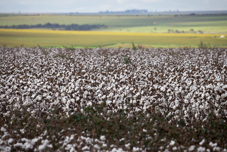 CNA debate equilíbrio nos contratos rurais para o sistema produtivo