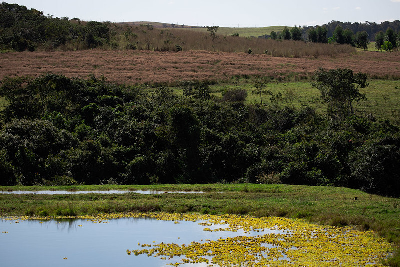 CNA lança programa para auxiliar produtores na retificação do Cadastro Ambiental Rural