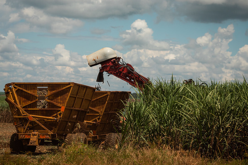 Para CNA, Paten reforça compromisso do agro com desenvolvimento sustentável