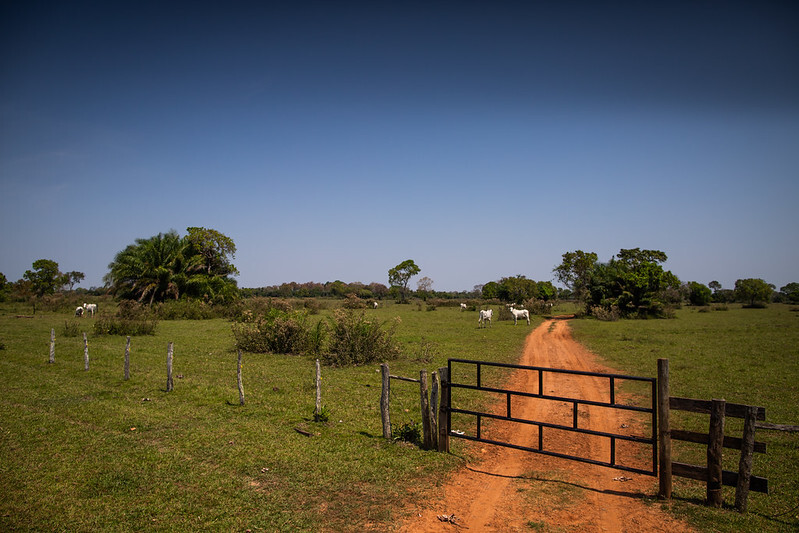 Senar lança curso Farmácia Veterinária na Propriedade Rural