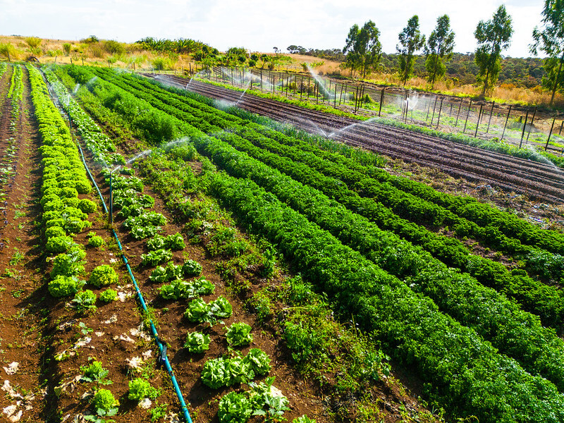CNA debate PL dos Safristas e impactos do acordo Mercosul/UE para o agro