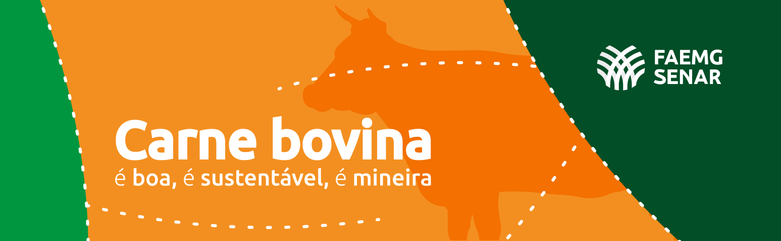 Sistema Faemg/Senar lança campanha de valorização da carne bovina