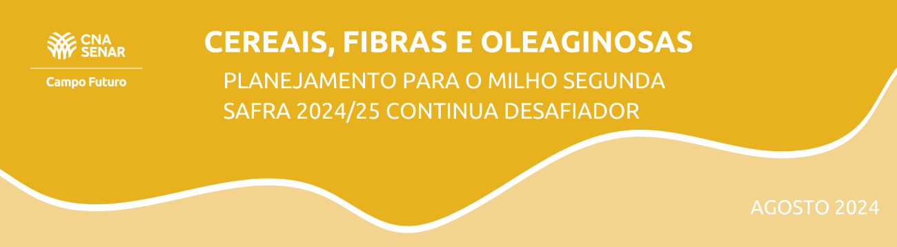 Planejamento para o milho segunda safra 2024/25 continua desafiador