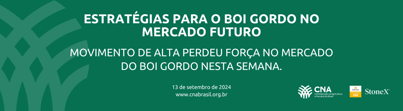 Movimento de alta perdeu força no mercado do boi gordo nesta semana