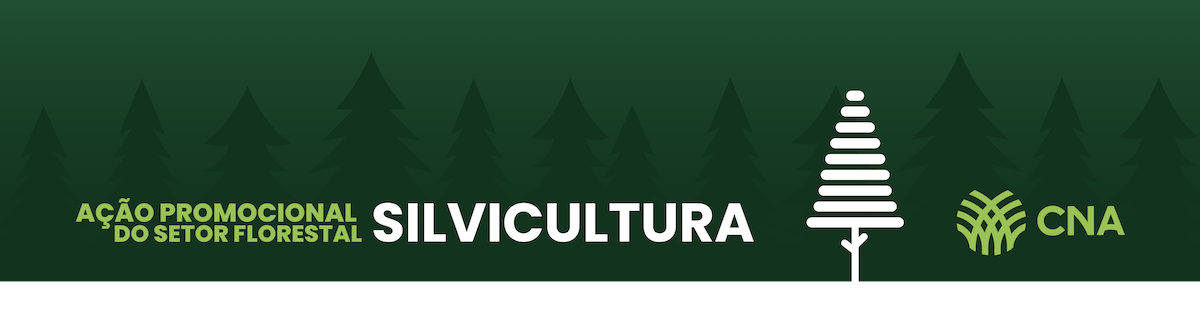 Ação promocional do setor florestal