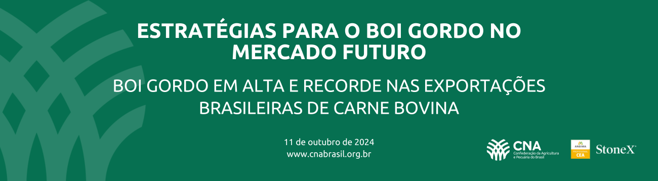 Boi gordo em alta e recorde nas exportações brasileiras de carne bovina