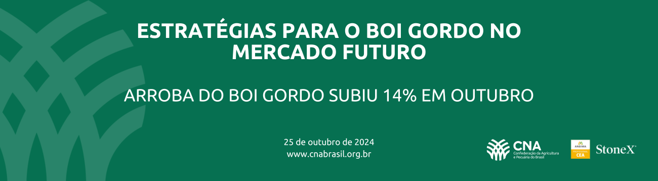Arroba do boi gordo subiu 14% em outubro