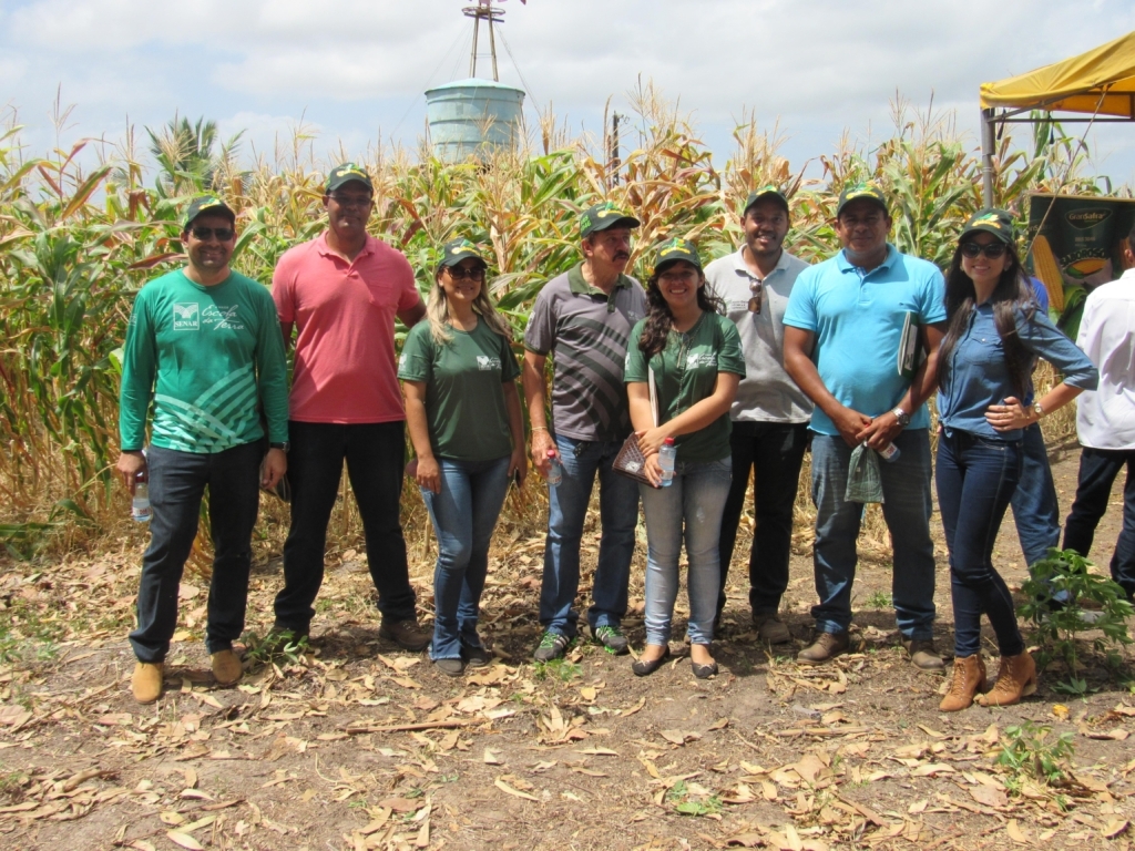 Dia de campo na comunidade Andiroba destaca assistência técnica do Senar