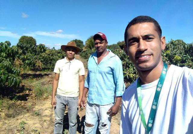 Producao de manga no Norte de MG ganha reforco com ATeG SENAR MINAS