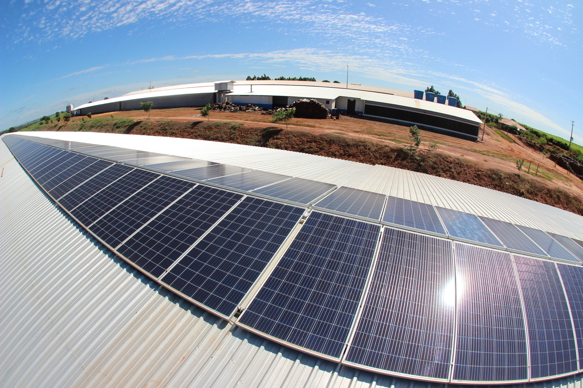 Queda de preço estimula produtores a aderir a usinas solares