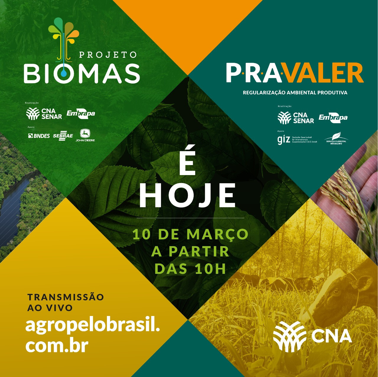 CNA e Embrapa apresentam dados inéditos do Projeto Biomas e lançam o “PRAVALER”