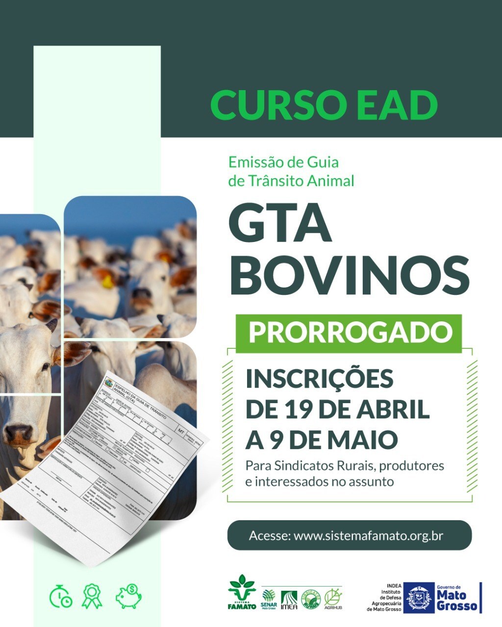 Sistema Famato oferece curso EAD de emissão da GTA de bovinos