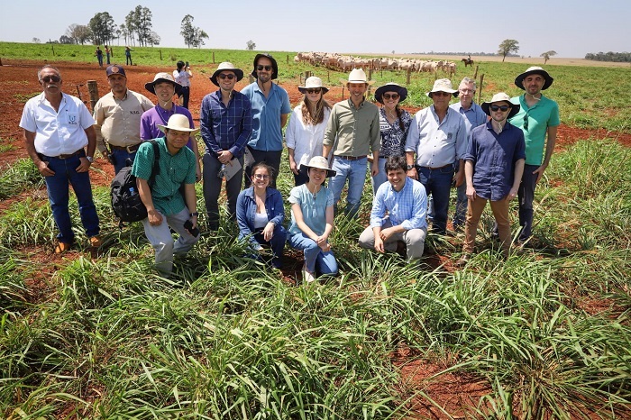 Missão do AgroBrazil conhece produção integrada de bovinos e grãos em Caarapó (MS)
