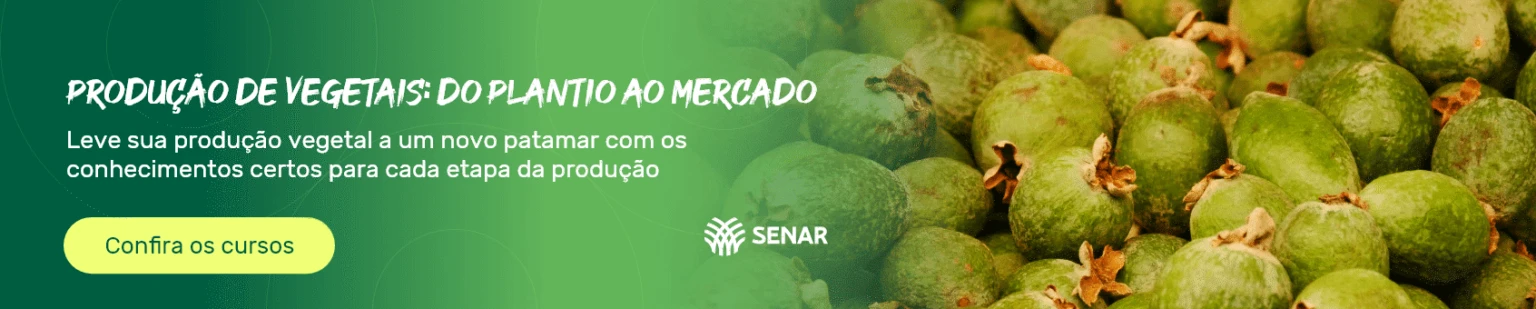 Imagem do banner rotativo