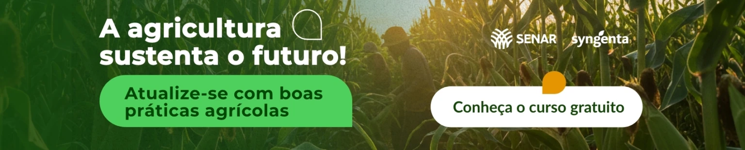 Imagem do banner rotativo