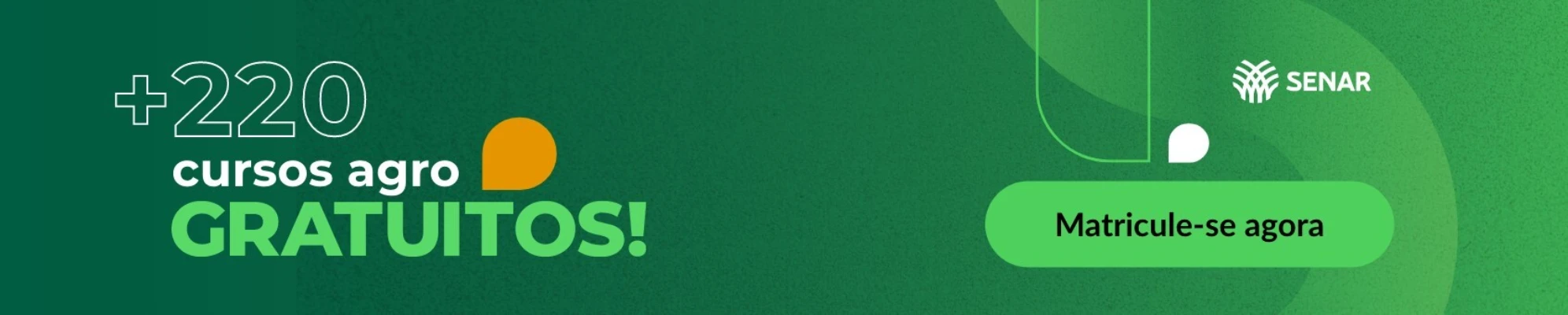 Imagem do banner rotativo