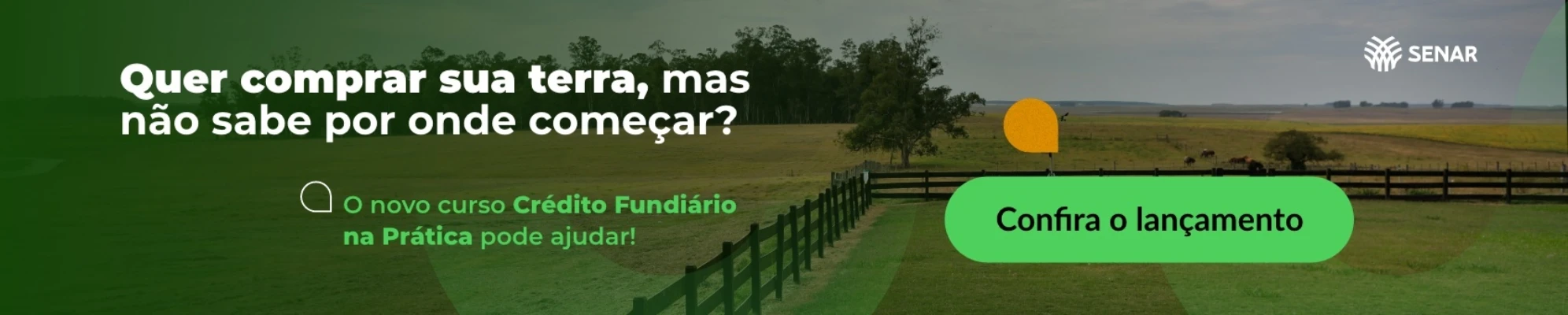 Imagem do banner rotativo