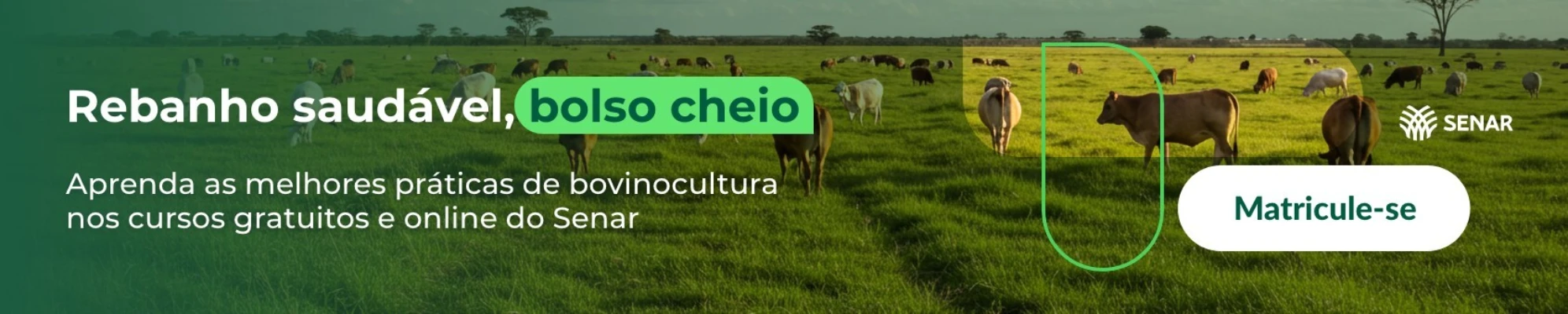 Imagem do banner rotativo