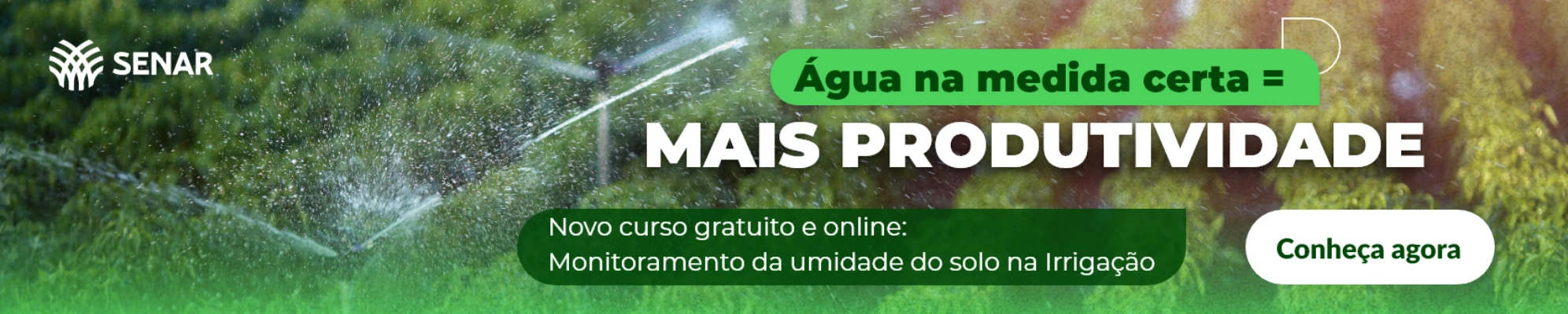 Imagem do banner rotativo