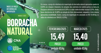 Preço de referência de importação da borracha natural cai 0,55% em março