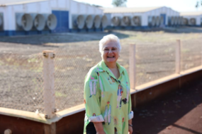 Senar/MS ajudou Jacinta a colocar a granja nos trilhos com gestão simples e eficaz