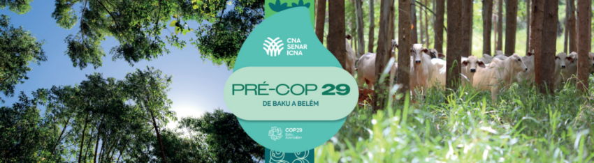 Banner posicionamento cop 29 2024 Banner posicionamento cop 29 2024