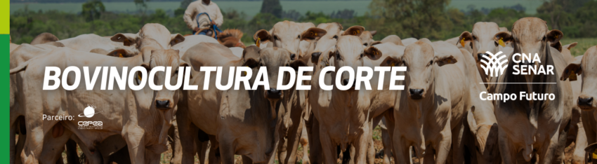 Bovinocultura Bovinocultura