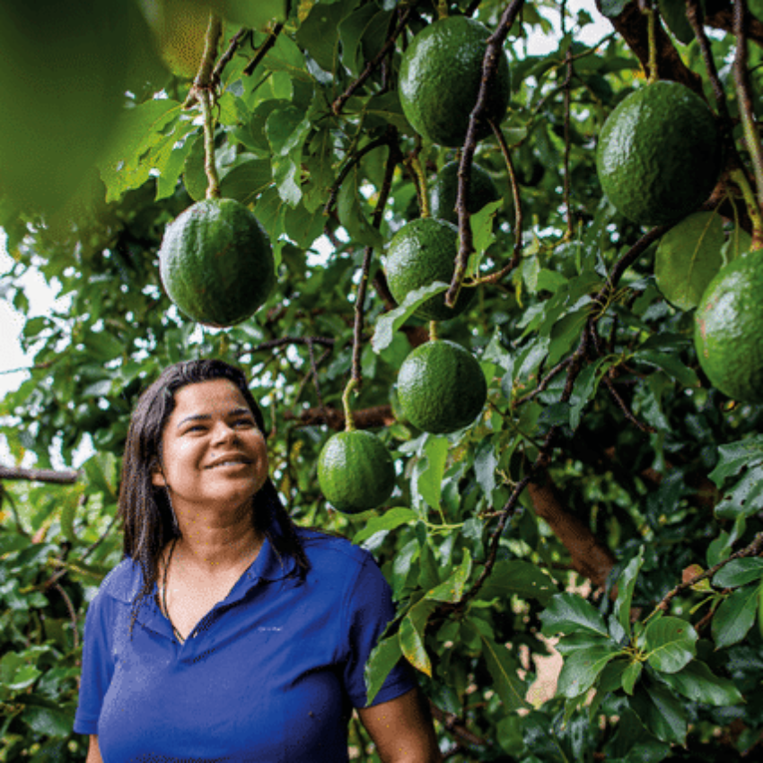 Brazilian Farmers