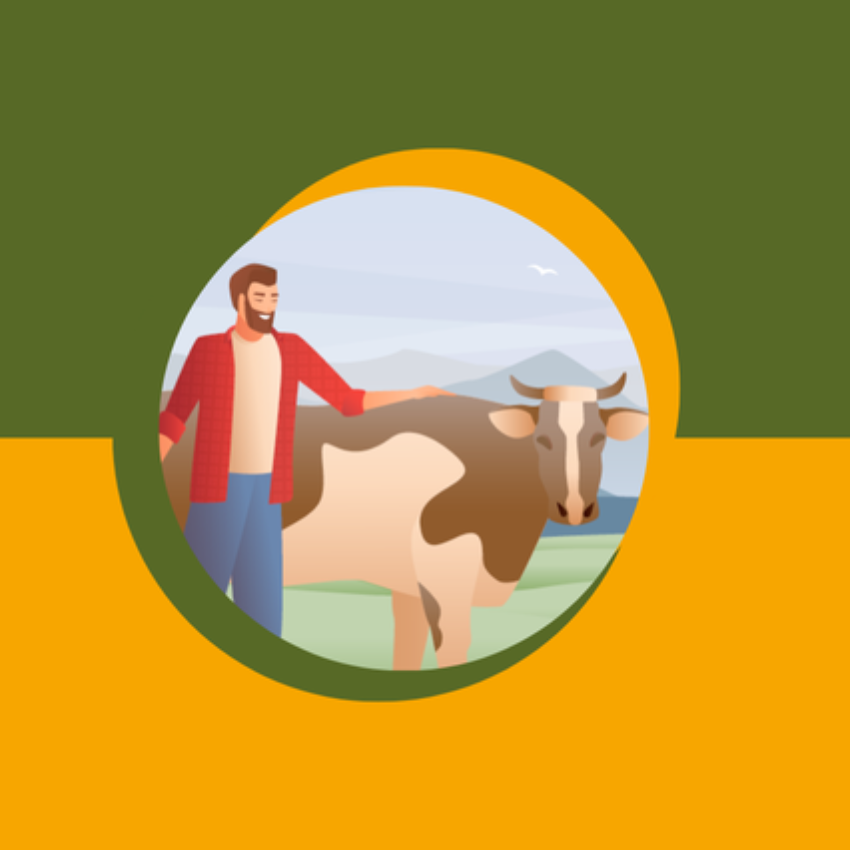 Sindicato, Federação e Confederação Patronal Rural