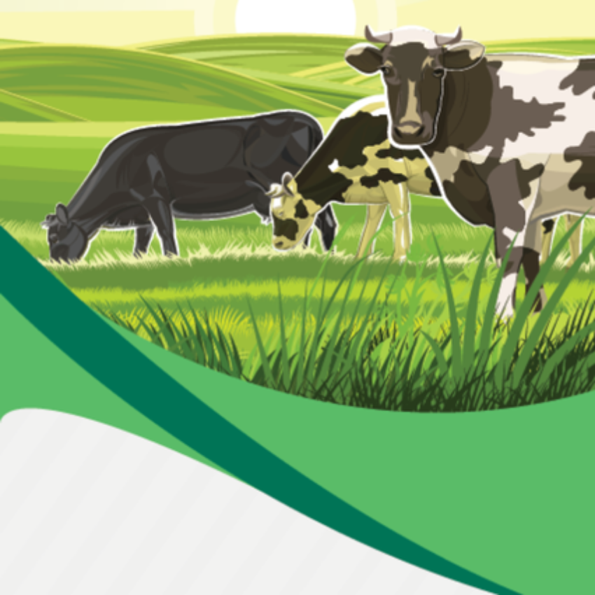 Arremate de Produção Rural em Leilões