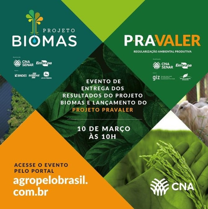 Resultados do Projeto Biomas auxiliam produtor a aliar produção e sustentabilidade