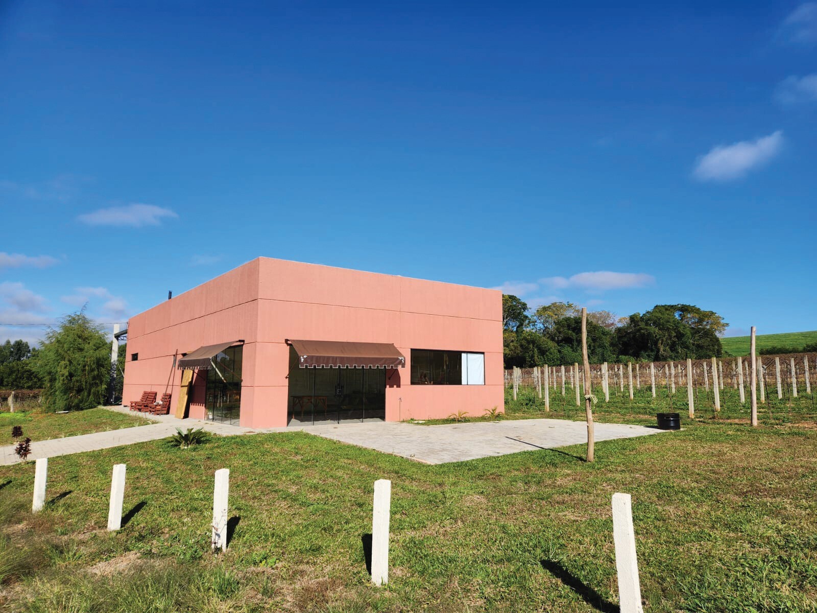 Fábrica de alimento de origem vegetal requer projeto de construção