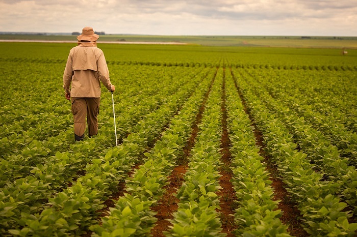 Para CNA, marco legal dos bioinsumos traz inovação tecnológica e sustentabilidade ao campo