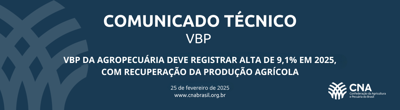 CNA divulga estimativa do Valor Bruto da Produção Agropecuária para 2025