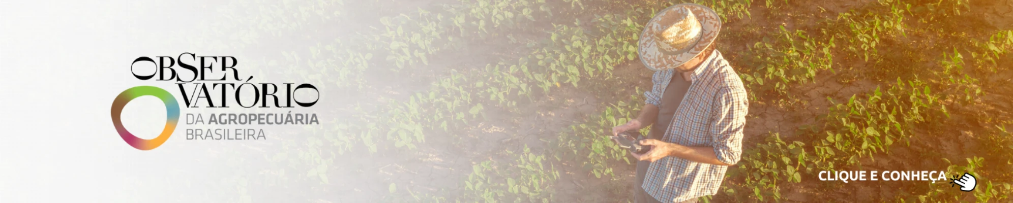 Imagem do banner rotativo