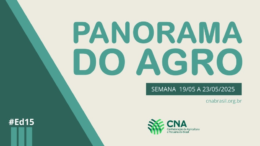 Panorama do Agro - Semana de 19 a 23 de maio