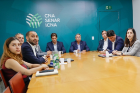 Comissão Nacional de Bovinocultura de Corte faz balanço de 2024