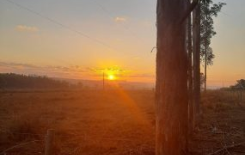 Nascer do sol