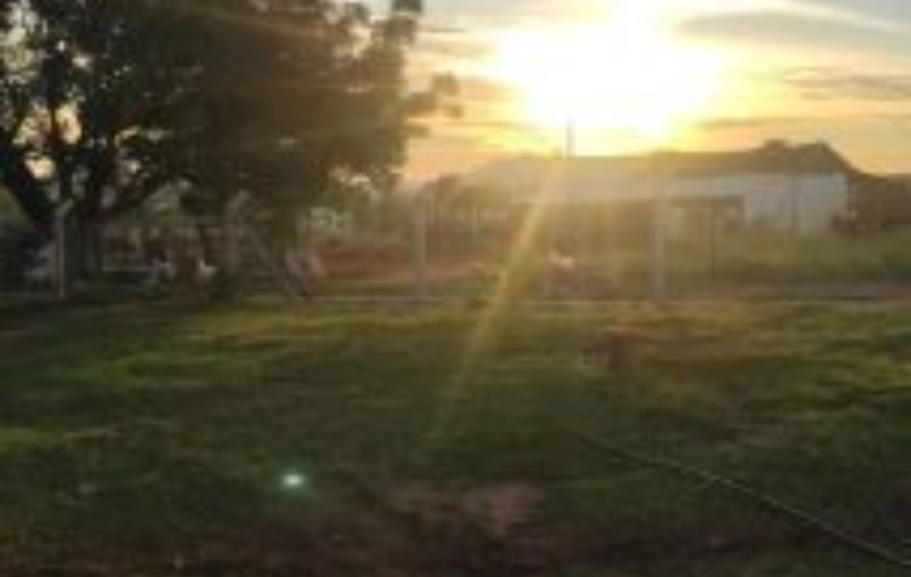 Amanhecer na fazenda