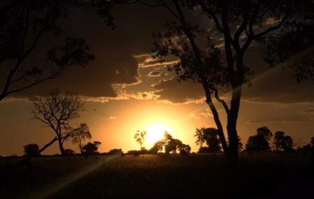 Por do Sol no Cerrado – Presente da natureza